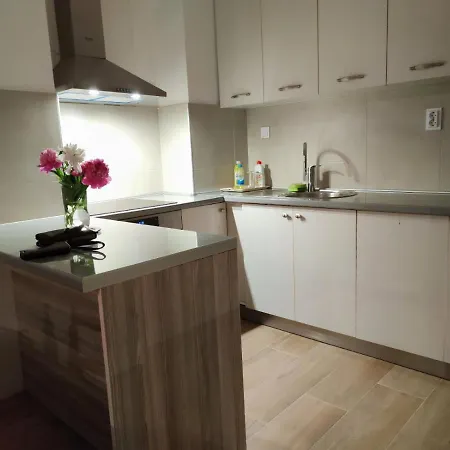 Apartment Loft Lux *