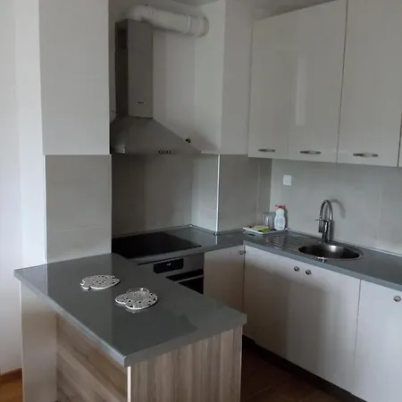 Apartment Loft Lux *