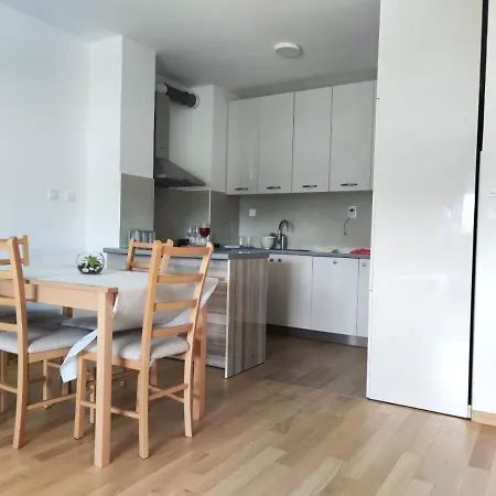 Apartment Loft Lux