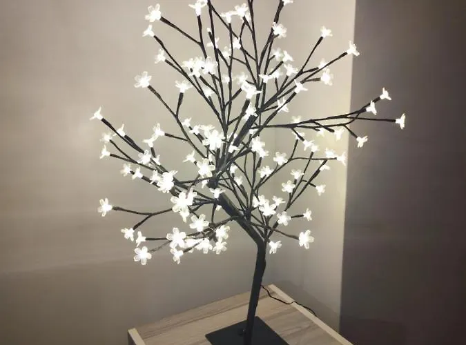 Avenoir Suite 巴尼西卢卡